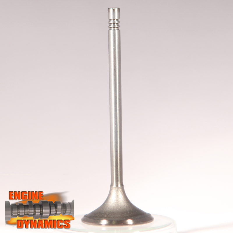 121-0644-00ednEfQUPk9HznML